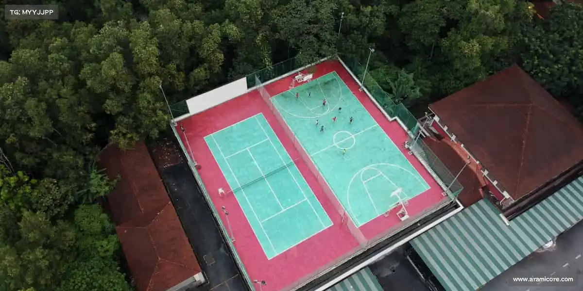 乐玩lewin——🎾网球激战!专业教练一对一,轻松掌握新技能🎯